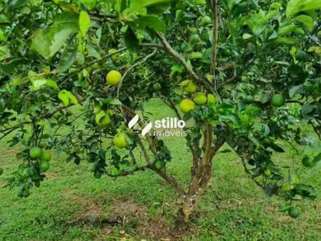 Sítio / Chácara para Venda em Iranduba/AM Centro 2 Quartos