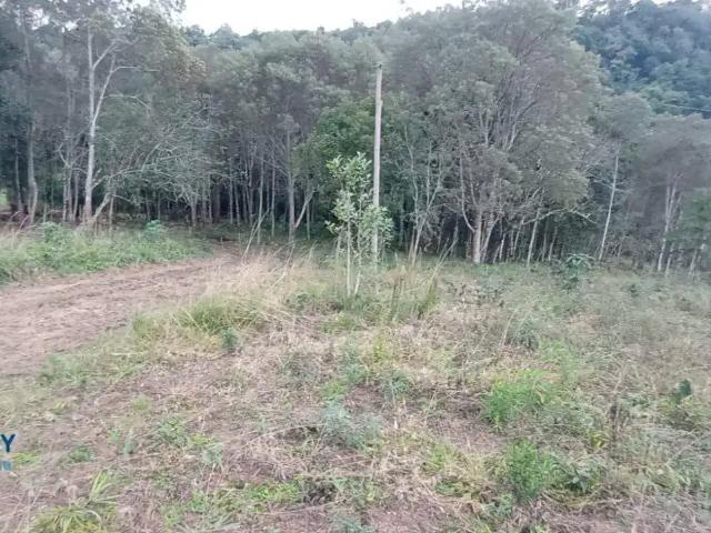 Sítio / Chácara para Venda em Irati/PR Zona Rural 1 Quartos