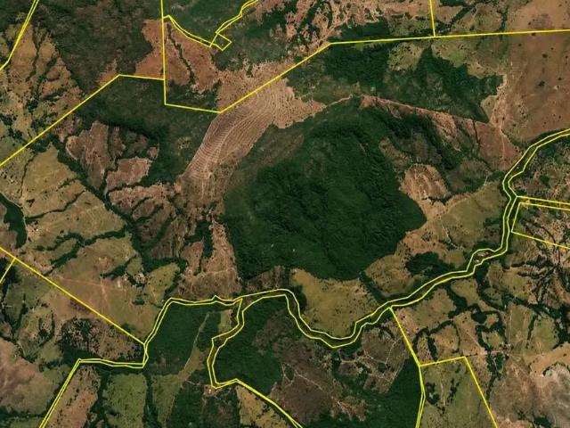 Sítio / Chácara para Venda em Israelândia/GO Zona Rural