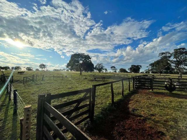 Sítio / Chácara para Venda em Ituiutaba/MG Área Rural de Ituiutaba