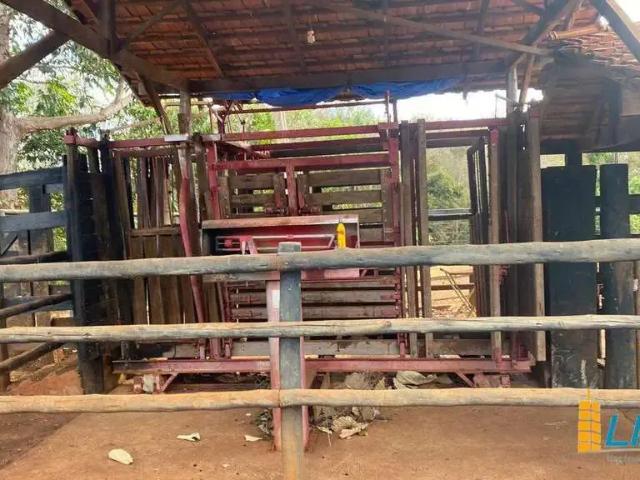 Sítio / Chácara para Venda em Itumbiara/GO Área Rural de Itumbiara