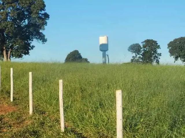 Sítio / Chácara para Venda em Itumbiara/GO Área Rural de Itumbiara
