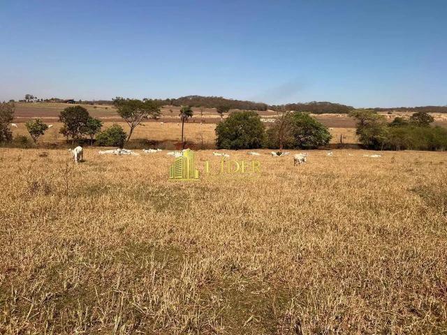 Sítio / Chácara para Venda em Itumbiara/GO Área Rural de Itumbiara