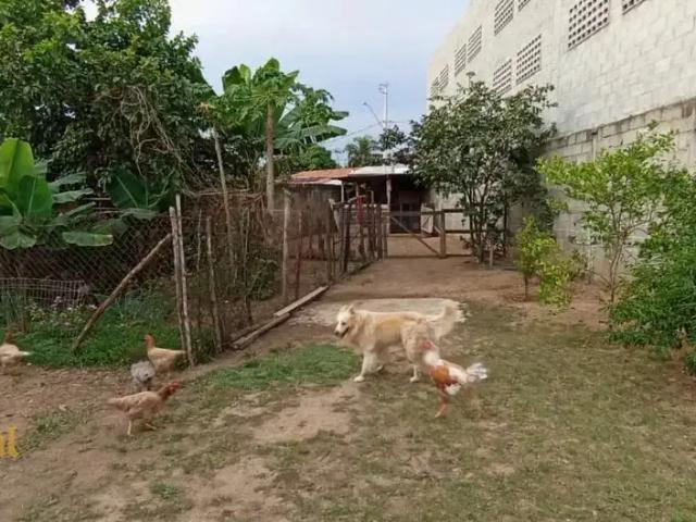 Sítio / Chácara para Venda em Itu/SP Chácaras Reunidas Ipê 3 Quartos