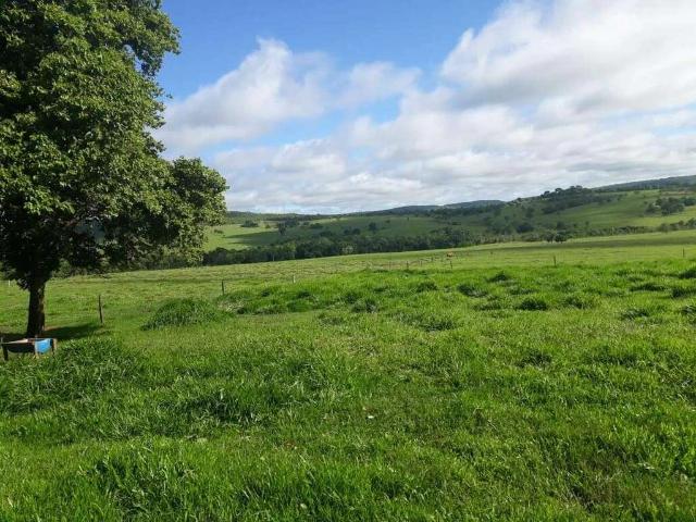 Sítio / Chácara para Venda em Iturama/MG Zona Rural