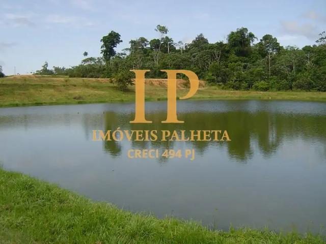 Sítio / Chácara para Venda em Itacoatiara/AM Novo Remanso