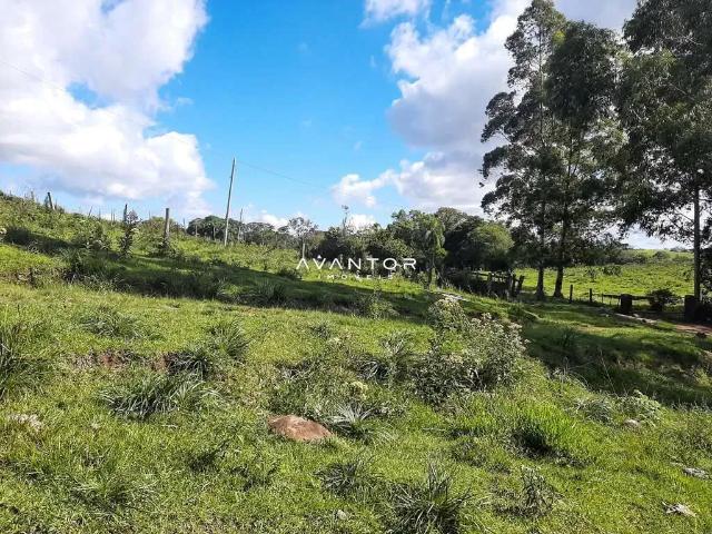 Sítio / Chácara para Venda em Itaara/RS Parque Pinhal