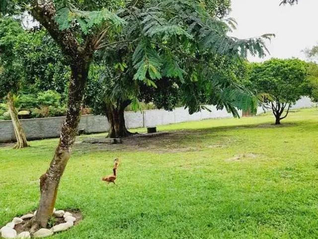 Sítio / Chácara para Venda em Itaboraí/RJ Vila Rica 3 Quartos