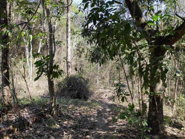 Sítio / Chácara para Venda em Itaboraí/RJ Picos 2 Quartos