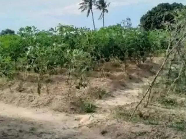 Sítio / Chácara para Venda em Itabaiana/SE Área Rural de Itabaiana