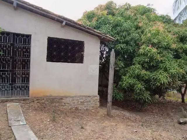 Sítio / Chácara para Venda em Itabaiana/SE Povoado Agrovila