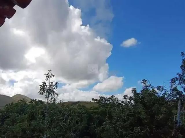 Sítio / Chácara para Venda em Itabaiana/SE Povoado Ribeira 3 Quartos