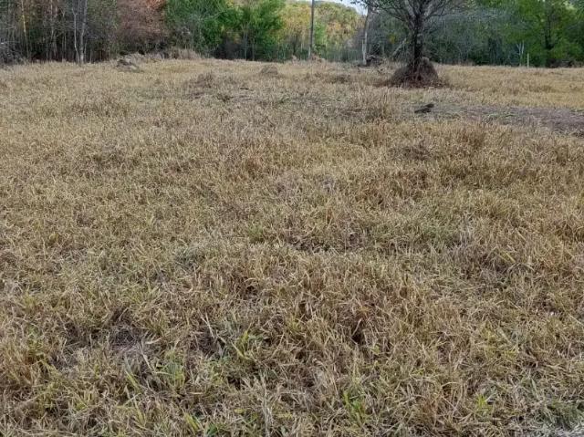 Sítio / Chácara para Venda em Itaberaí/GO Zona Rural 3 Quartos
