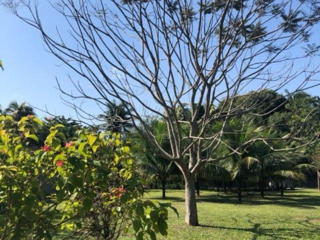 Sítio / Chácara para Venda em Itaguaí/RJ Santa Cândida 2 Quartos