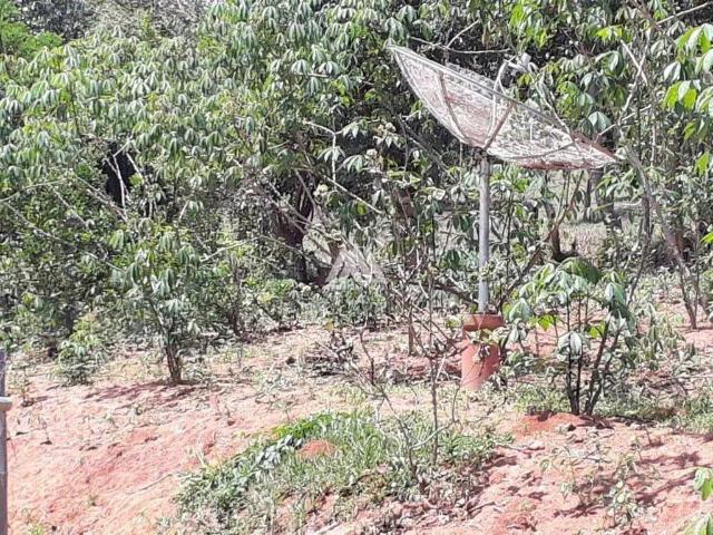 Sítio / Chácara para Venda em Itaguara/MG Zona Rural 4 Quartos
