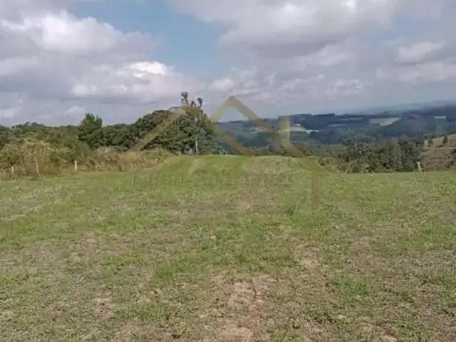Sítio / Chácara para Venda em Itaiópolis/SC Centro 3 Quartos