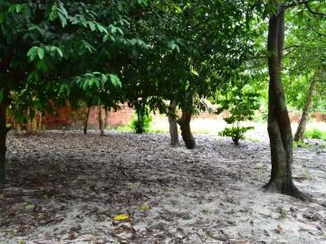 Sítio / Chácara para Venda em Itaitinga/CE Centro