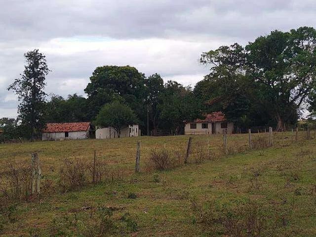 Sítio / Chácara para Venda em Itajá/GO Zona Rural