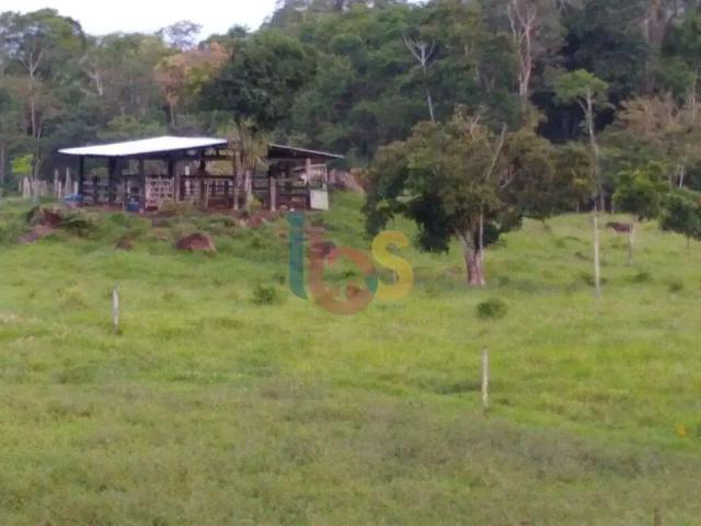 Sítio / Chácara para Venda em Itajuípe/BA Centro