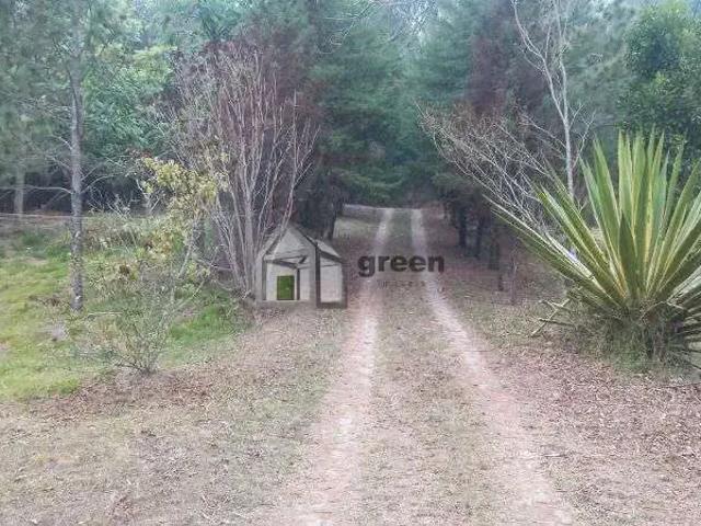 Sítio / Chácara para Venda em Itamonte/MG Centro 4 Quartos