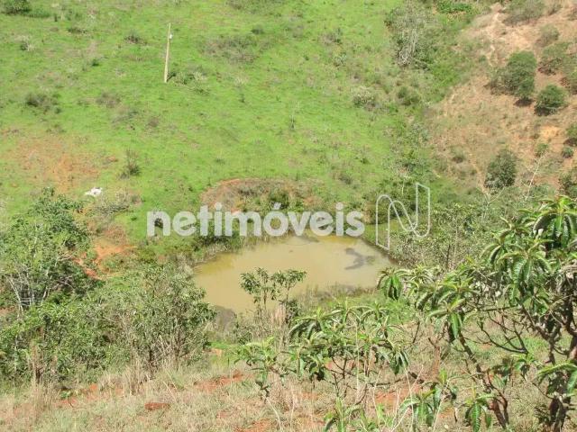 Sítio / Chácara para Venda em Itambé do Mato Dentro/MG Zona Rural