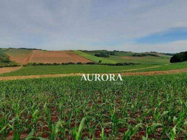 Sítio / Chácara para Venda em Itambé/PR Zona Rural