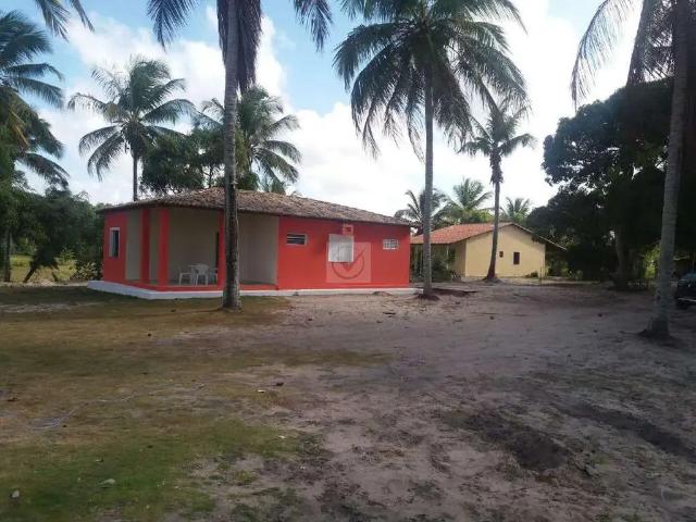 Sítio / Chácara para Venda em Itaporanga D'Ajuda/SE Zona Rural