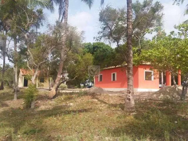 Sítio / Chácara para Venda em Itaporanga D'Ajuda/SE Zona Rural