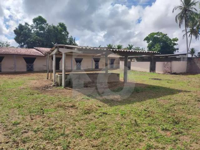 Sítio / Chácara para Venda em Itaporanga D'Ajuda/SE Caueira 4 Quartos