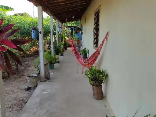 Sítio / Chácara para Venda em Itaporanga D'Ajuda/SE Centro 3 Quartos