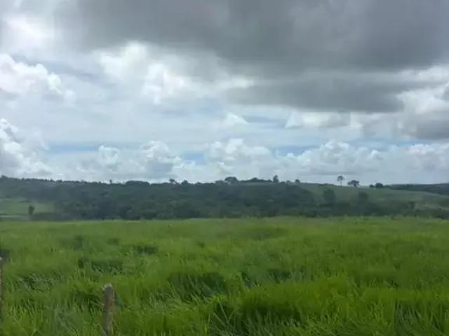 Sítio / Chácara para Venda em Itaporanga D'Ajuda/SE Centro