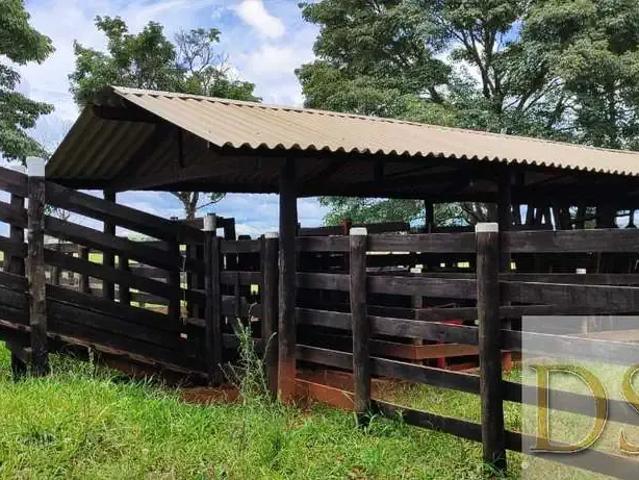 Sítio / Chácara para Venda em Itapetininga/SP Centro
