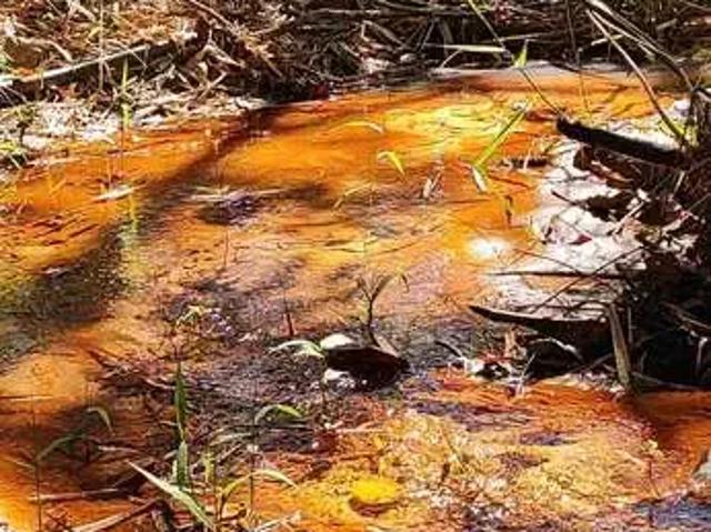Sítio / Chácara para Venda em Itapetininga/SP Área Rural de Itapetininga 3 Quartos