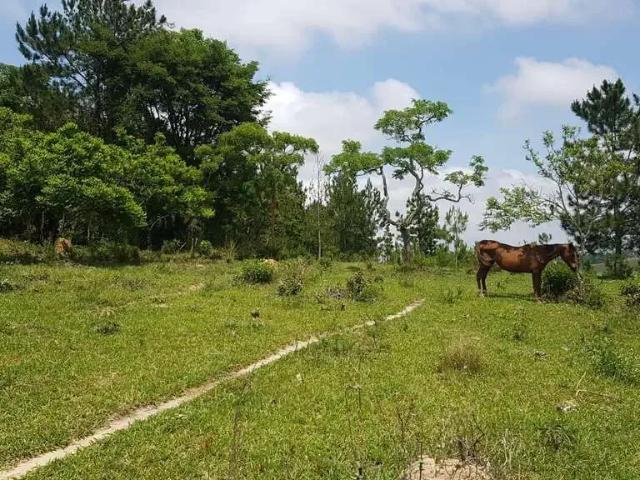 Sítio / Chácara para Venda em Itapetininga/SP Área Rural de Itapetininga 2 Quartos