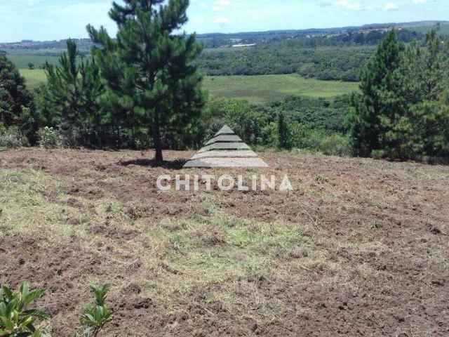 Sítio / Chácara para Venda em Itapetininga/SP Turvo dos Rodrigues