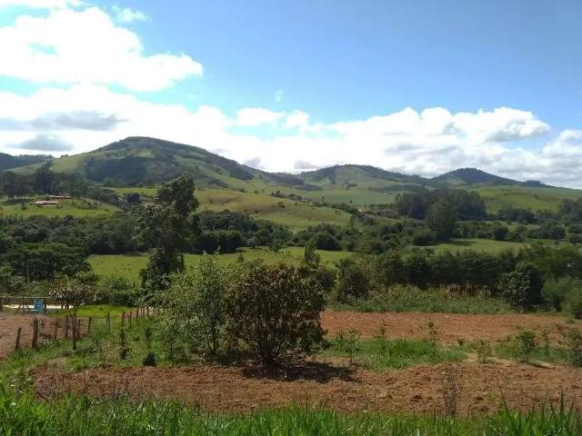Sítio / Chácara para Venda em Itapeva/MG Centro 4 Quartos