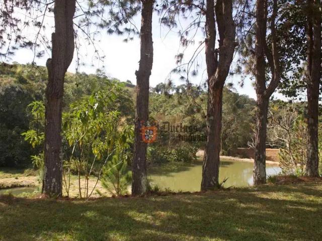 Sítio / Chácara para Venda em Itapeva/MG Centro 19 Quartos