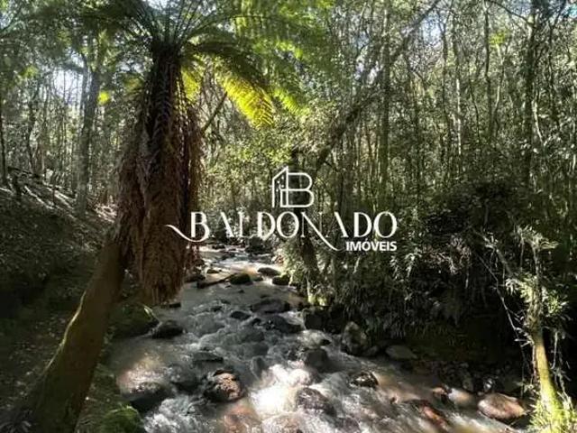 Sítio / Chácara para Venda em Itapeva/MG Centro 3 Quartos