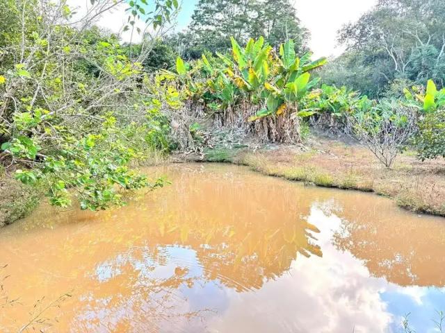 Sítio / Chácara para Venda em Itapeva/MG Zona Rural 5 Quartos