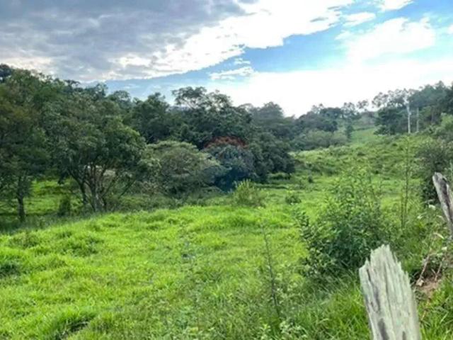 Sítio / Chácara para Venda em Itapira/SP Ponte Nova