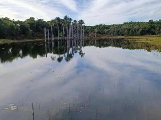 Sítio / Chácara para Venda em Itarumã/GO Setor Central