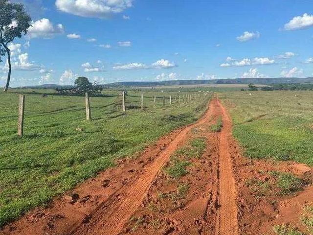 Sítio / Chácara para Venda em Itarumã/GO Zona Rural