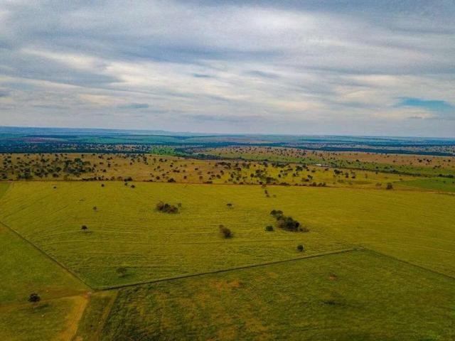 Sítio / Chácara para Venda em Itarumã/GO Zona Rural