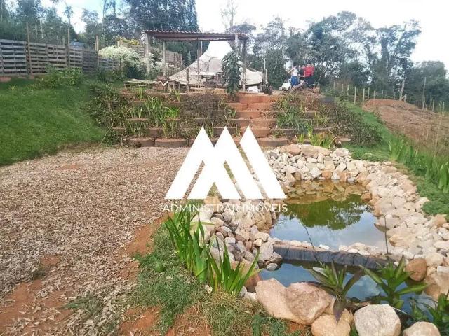 Sítio / Chácara para Venda em Itatiaiuçu/MG Capela Nova