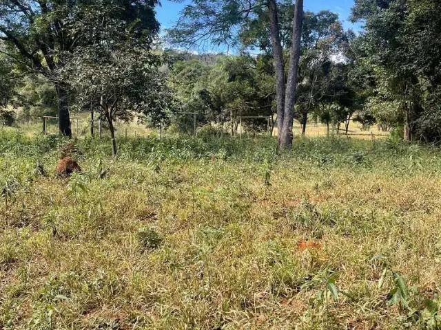 Sítio / Chácara para Venda em Itatiaiuçu/MG Centro