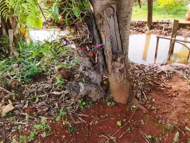 Sítio / Chácara para Venda em Itatiaiuçu/MG Centro 3 Quartos