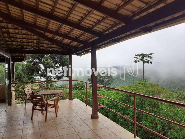 Sítio / Chácara para Venda em Itatiaiuçu/MG Pinheiros 3 Quartos