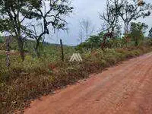 Sítio / Chácara para Venda em Itatiaiuçu/MG Retiro dos Pintos