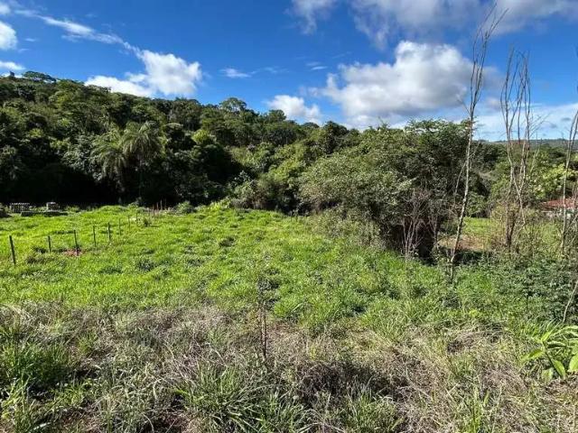 Sítio / Chácara para Venda em Itatiaiuçu/MG Zona Rural