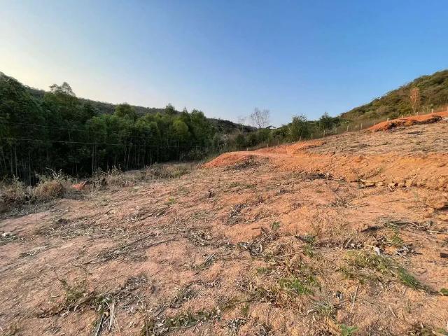 Sítio / Chácara para Venda em Itaúna/MG Área Rural de Itaúna
